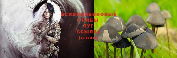 ALPHA PVP Балабаново