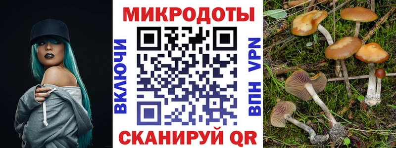 Галлюциногенные грибы ЛСД  Новодвинск 